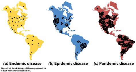 Endemic, epidemic, pandemic – what’s the difference?