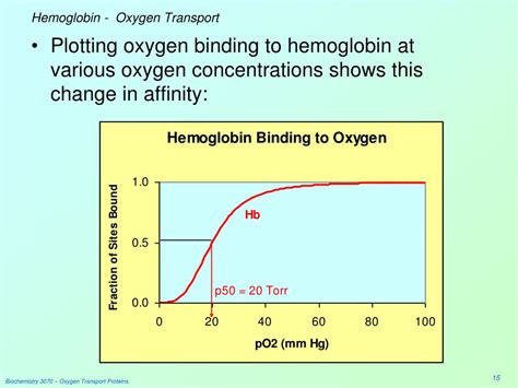 Ppt Oxygen Transport Proteins Myoglobin Hemoglobin Powerpoint