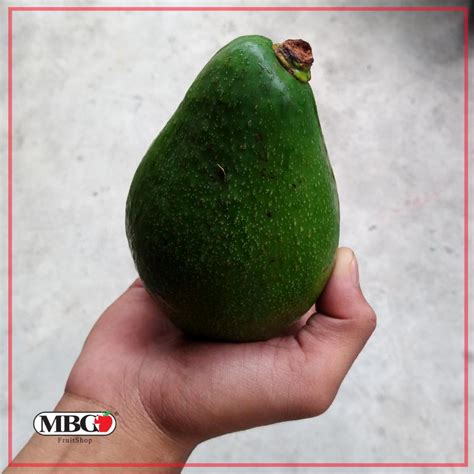 Uganda Fuerte Avocado (L) – MBG Fruit Shop