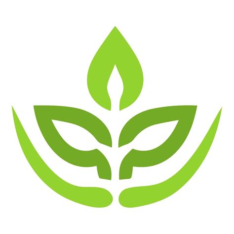 Premium Vector Green Leaf