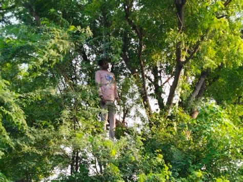 Dead Body Found Hanging From A Neem Tree Outside The Village