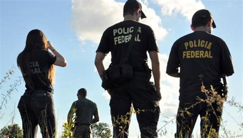 10 Dicas De Como Passar No Concurso Da Polícia Federal Pf