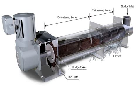 Sludge Dewatering And Drying System And Sludge Dewatering And