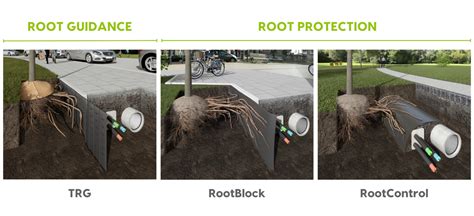 Root Protection Or Root Guidance GreenMax