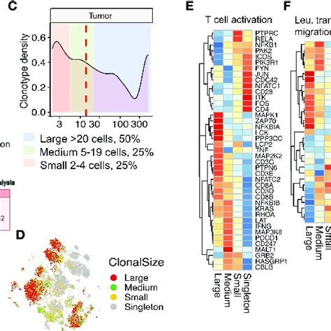 Expanded Tumor Infiltrating T Cells Upregulate Tcr Activation And