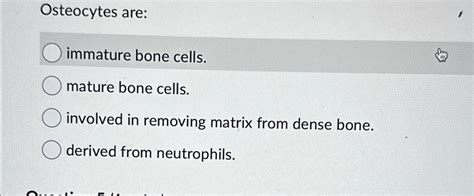 Solved Osteocytes Are Immature Bone Cells Mature Bone Chegg