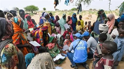 UNHCR Secures 6 6 Mln USD To Support Forcibly Displaced In Somalia