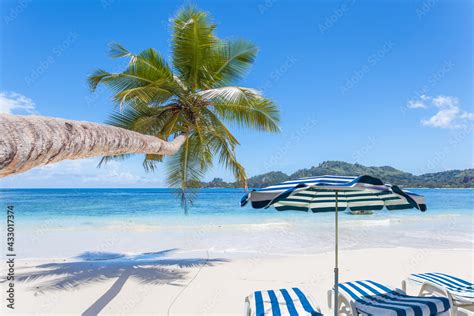 Cocotier penché transats et parasol sur plage paradisiaque des