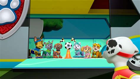 Image All Star Pups 9 Paw Patrol Wiki Fandom Powered By Wikia