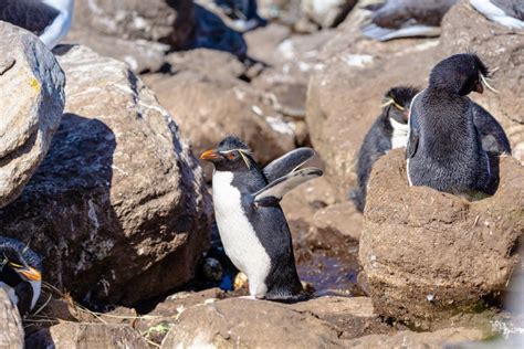 What’s It Like to Travel to Antarctica with Quark Expeditions?