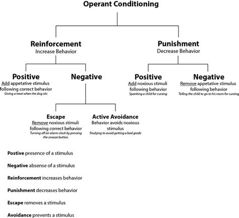 Behavioral Theories of Abnormality