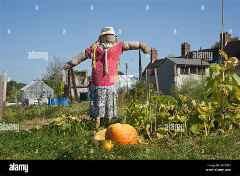 Weibliche Vogelscheuche Fotos Und Bildmaterial In Hoher Aufl Sung Alamy