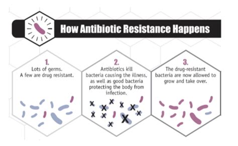 Antibiotic Resistance Microbiome Micrb Flashcards Quizlet