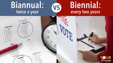 how to pronounce biennially