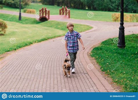 Cute Boy Playing And Walking With His Dog In A Meadow Stock Image