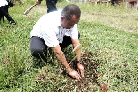 Seribuan Pohon Ditanam Untuk Antisipasi Bencana Di Garut ANTARA News