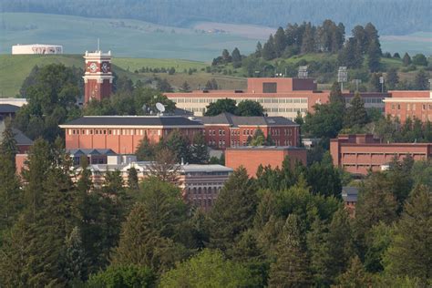 Wsu Pullman Statement About Covid‑19 Cases Wsu Insider Washington