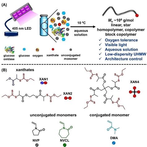 安泽胜团队《angew Chem 》 耐氧性光酶raft聚合合成基于非共轭单体的超高分子量聚合物 吉大超分子结构与材料国家重点实验室