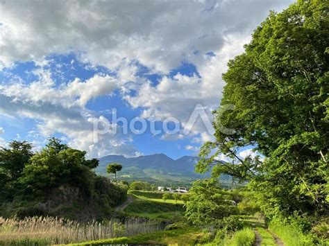 爽やかな新緑と青空の風景 No 26398114｜写真素材なら「写真ac」無料（フリー）ダウンロードok