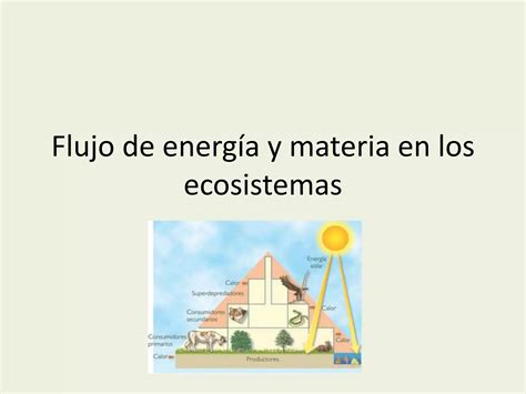 Flujo De Energ A Y Materia En Los Ecosistemas Pptx Descarga Gratuita