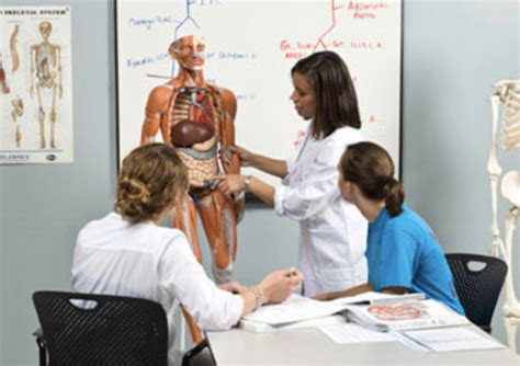 Are Physical Anatomical Models Effective In Teaching Anatomy