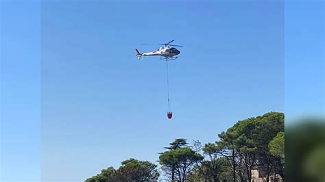 Ne Incendio Nei Boschi In Volo L Elicottero Richiesto Un Canadair