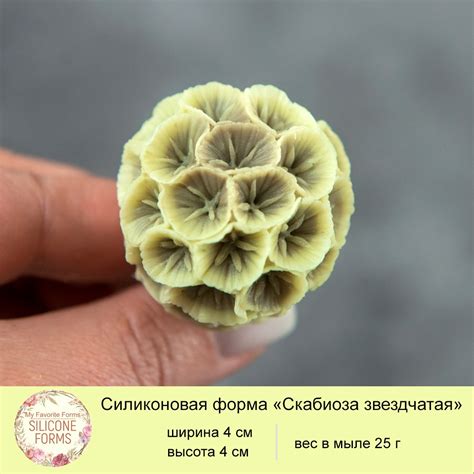 Купить Форма "Скабиоза звездчатая" в Железнодорожном с доставкой по России