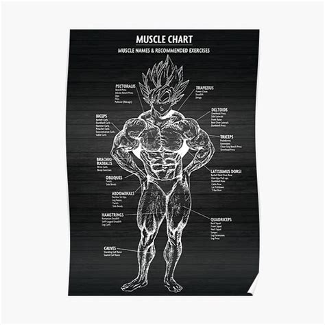 Muscle Chart Anatomy Diagram Anime Gym Motivational Premium Matte