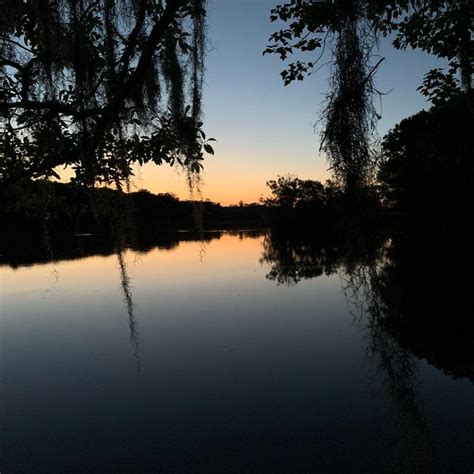 Can You See Manatees At Manatee Springs State Park? - Indie88