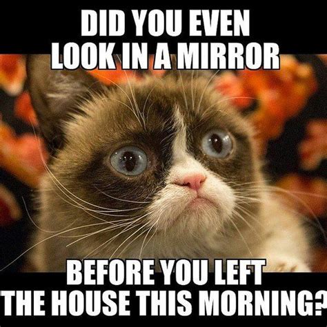 Grumpiercat Tardarsauce Funny Grumpy Cat Memes Grumpy Cat Grumpy Cat Humor