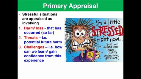 Lazarus And Folkman Transactional Model Of Stress And Coping Vce