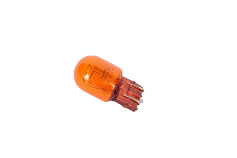 2010 2022 GM Multi Purpose Light Bulb 13579188 TascaParts