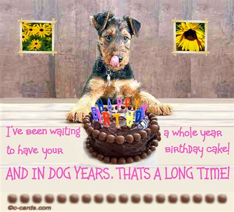 Birthday Quotes For Dog Lovers. QuotesGram