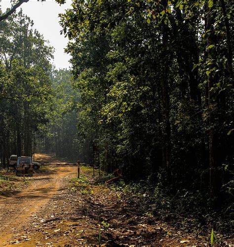 Odisha