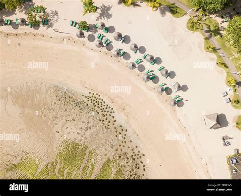 Aerial View Of Rows Of Beach Umbrellas And Empty Deck Chairs On Sandy