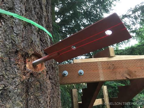 Winding Stairs Design And Construction Nelson Treehouse