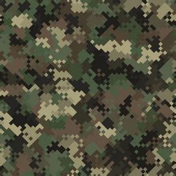 Digital Woodland Camo Vector Images Over