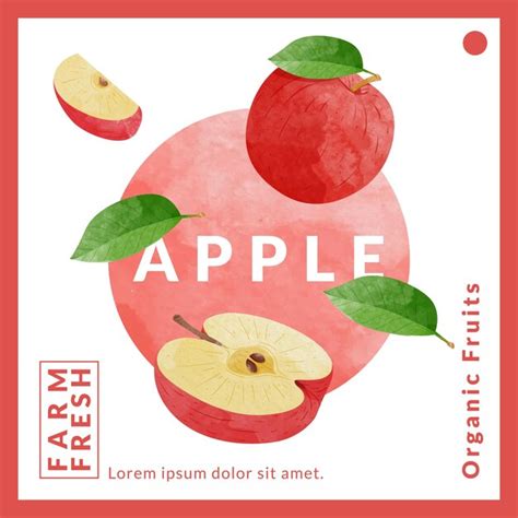 Premium Vector Apple Packaging Design Templates Watercolour Style