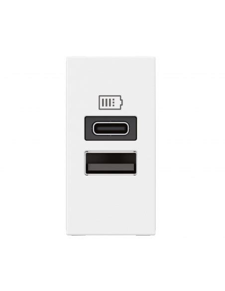 Chargeur Usb Type A Type C Mosaic Modules Blanc Pour Support Lcm