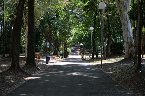 Veja O Que Abre E O Que Fecha Na V Spera E No Feriado De Ano Novo Em