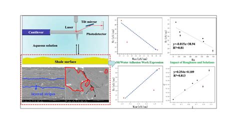 Quantitative Characterization Of Adhesion Work On Shale Surfaces And