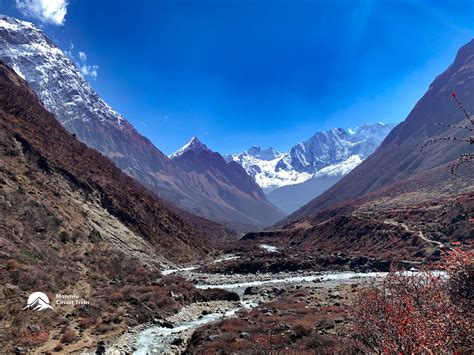 Manaslu Trek Route: Unveiling Nepal's Himalayan Gem (Larkya La Included)