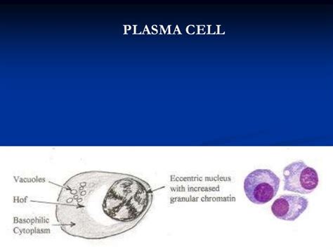 Plasma cell disorders