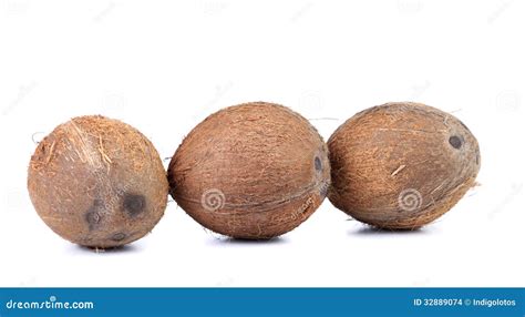 Three Coconuts Isolated On A White Background Stock Photo Image Of