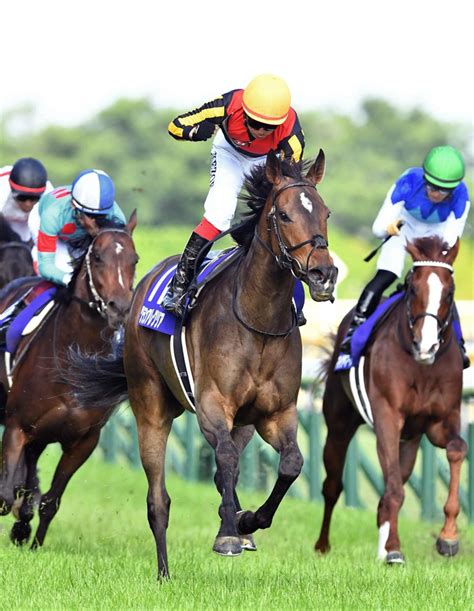 【スプリンターズs＆シリウスs】レースの注目点｜競馬ニュース｜競馬予想のウマニティ