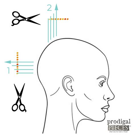 Diy Short Curly Bob Haircut Prodigal Pieces