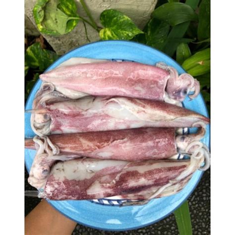 Jual Cumi Size Besar Fresh Kg Shopee Indonesia