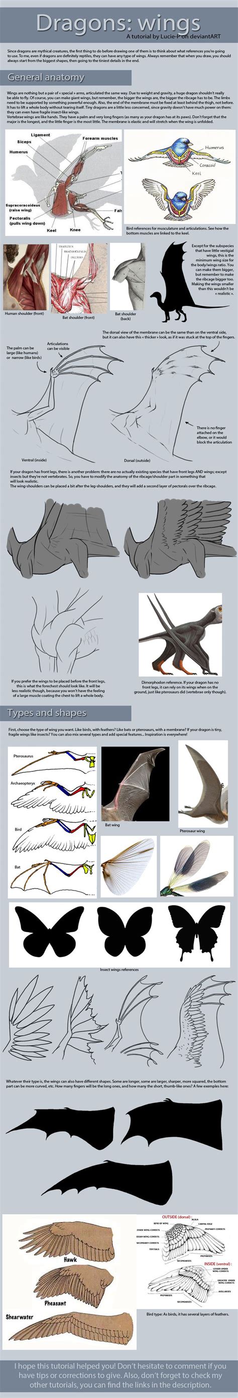 Dragon Hand Foot Tutorial By Nakaseart On Deviantart Dragon Drawing