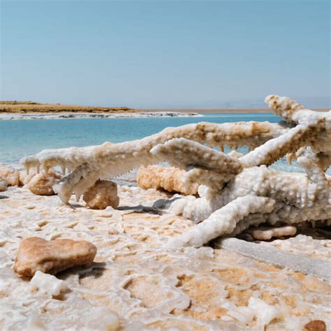 6 Best Things To Do in the Dead Sea, Jordan (2025 Travel Guide)