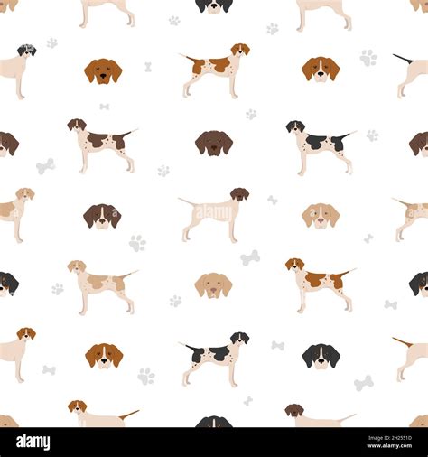 English pointer seamless pattern. Different poses, coat colors set ...